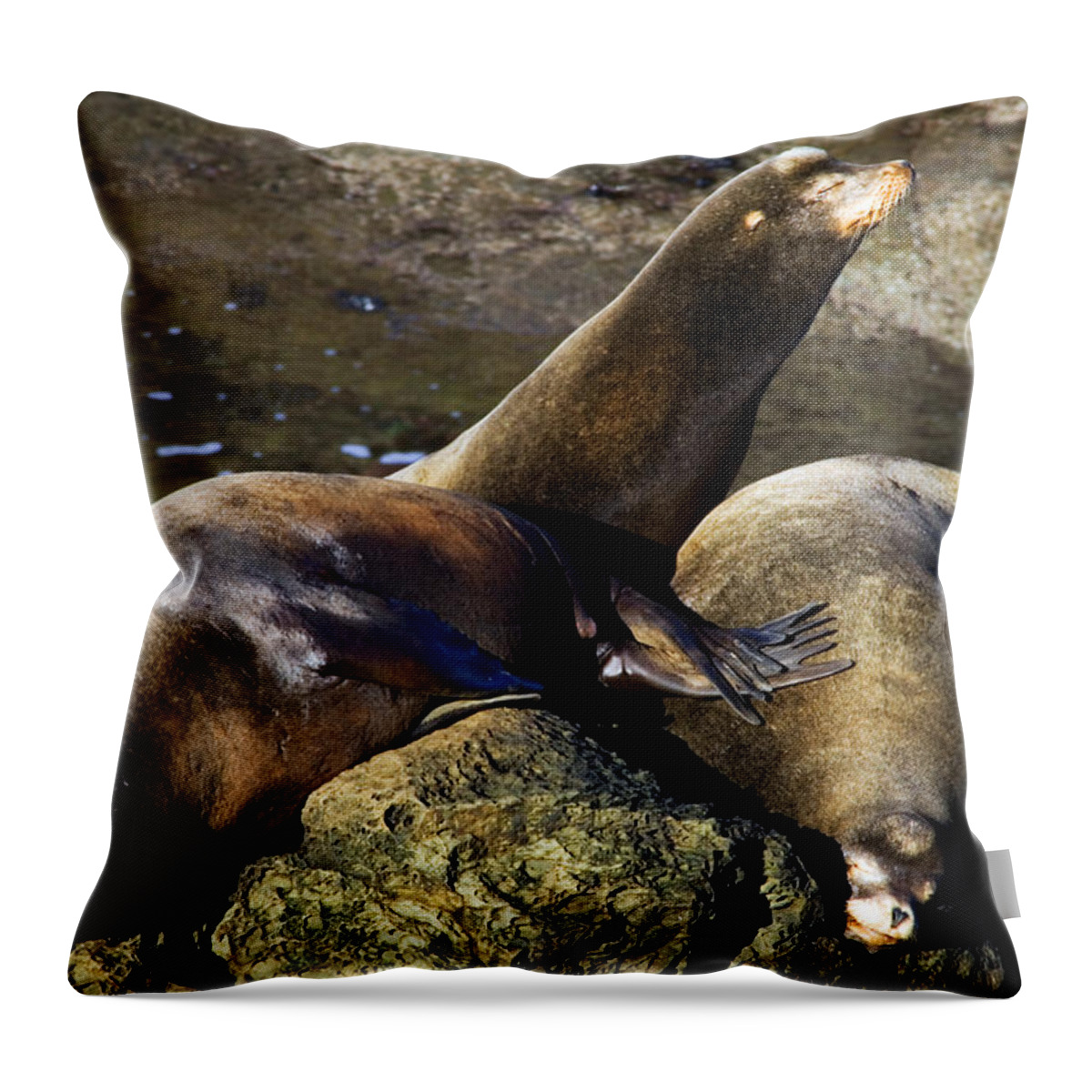 Sea Lion Throw Pillow featuring the photograph Nap Time by Randall Ingalls