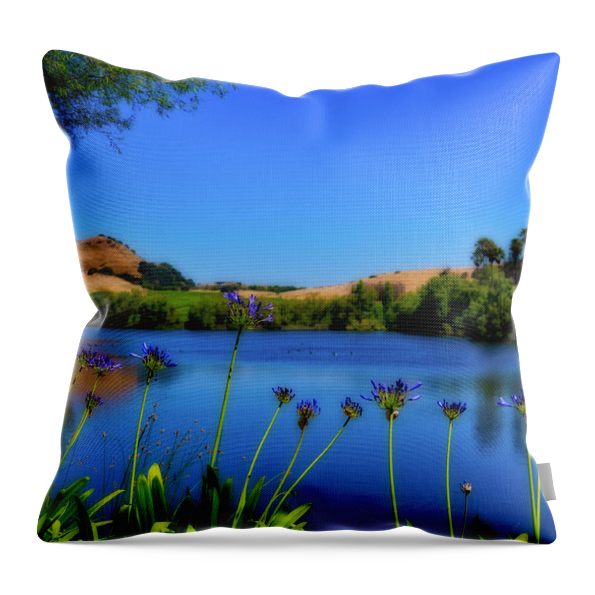 Napa Throw Pillow featuring the photograph Napa Serenity by Stephen Anderson
