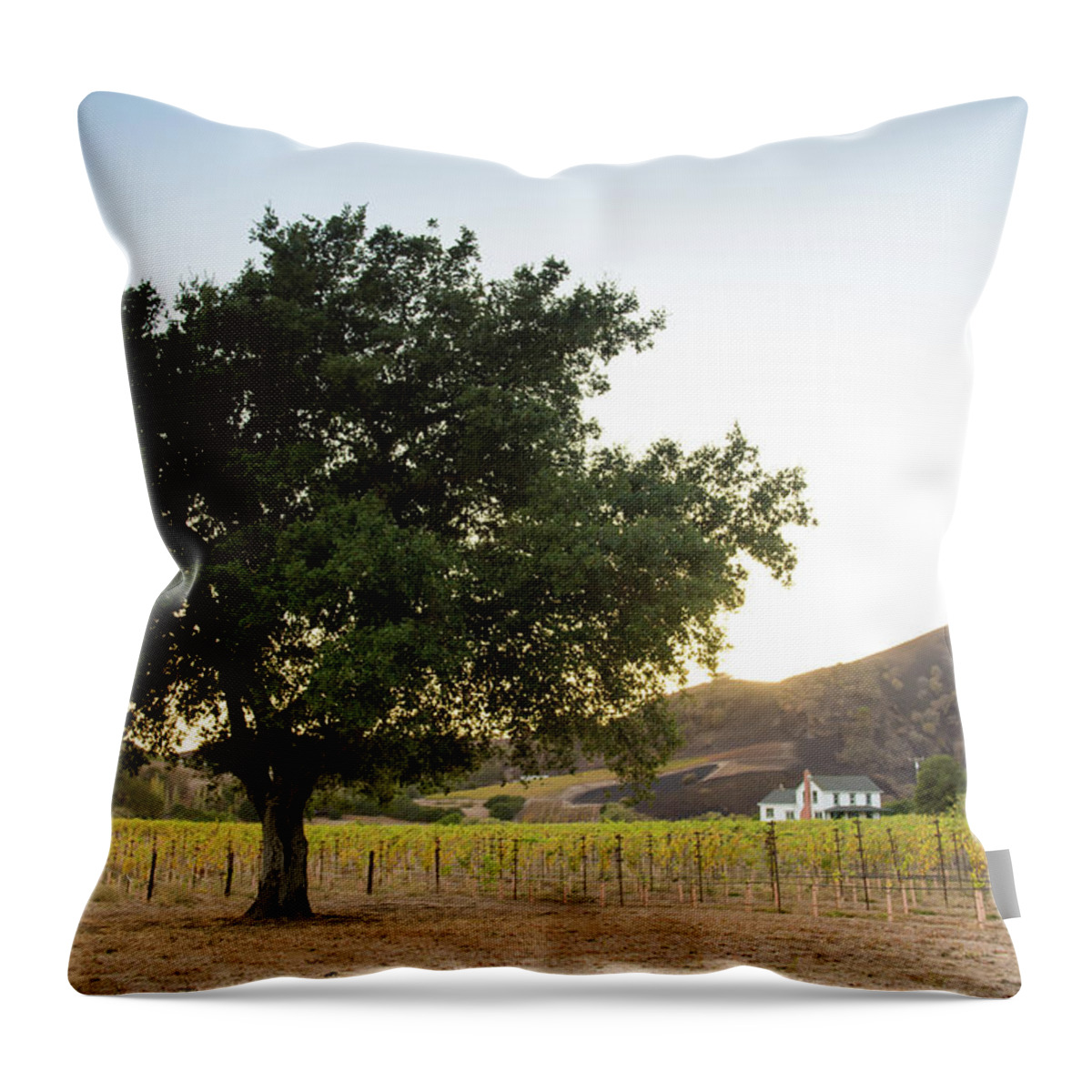 Hills Throw Pillow featuring the photograph Napa Strong by Aileen Savage