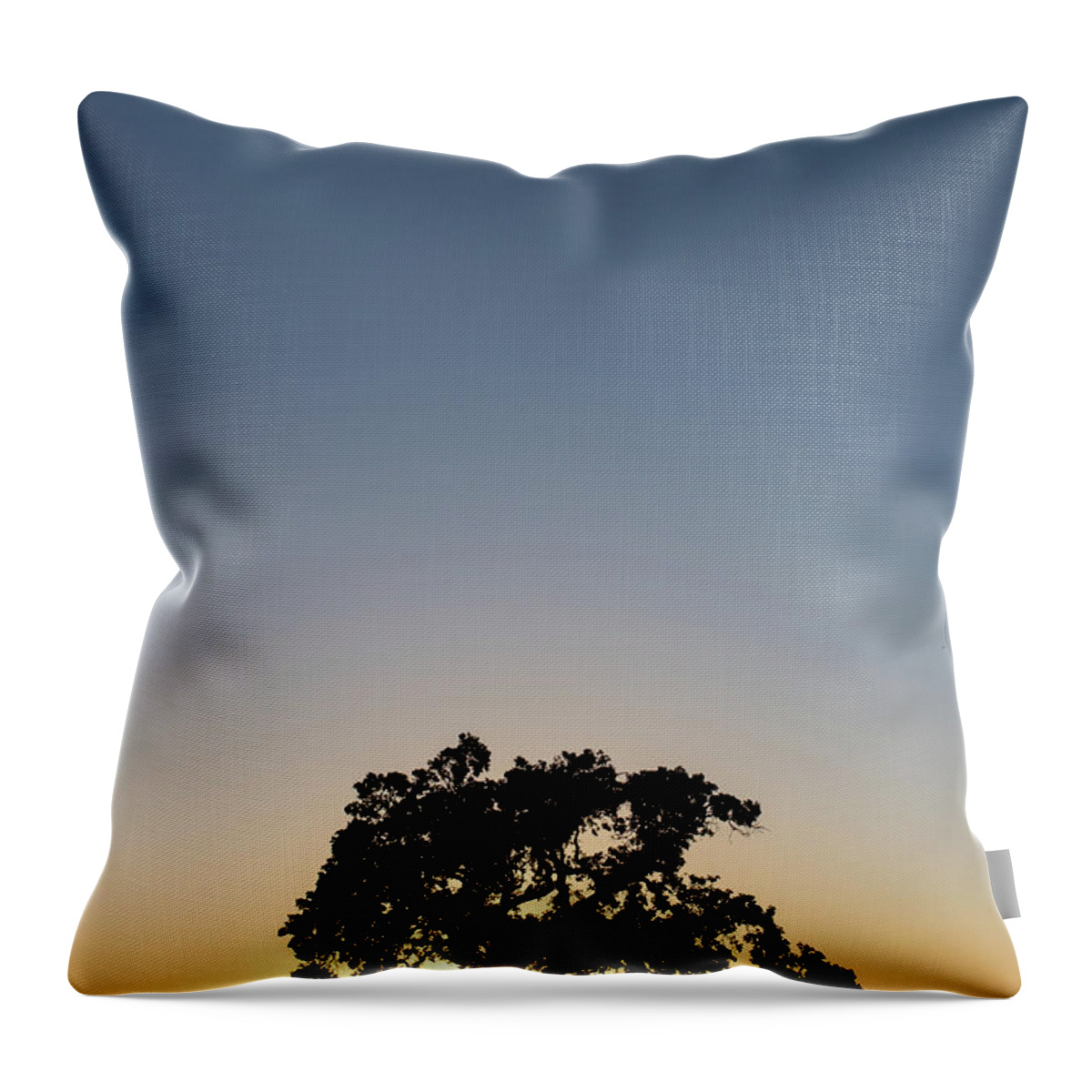 Napa Valley Oak Throw Pillow featuring the photograph Napa Valley Oak by Aileen Savage