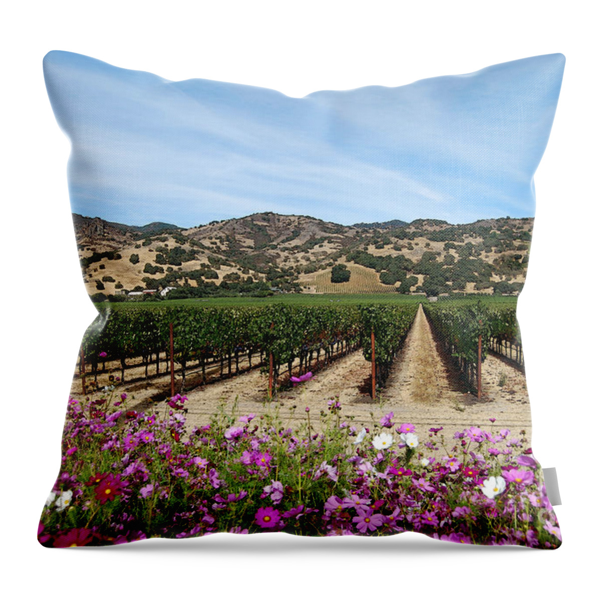 Grapes Throw Pillow featuring the photograph Napa Vineyard at Harvest Time by Catherine Sherman