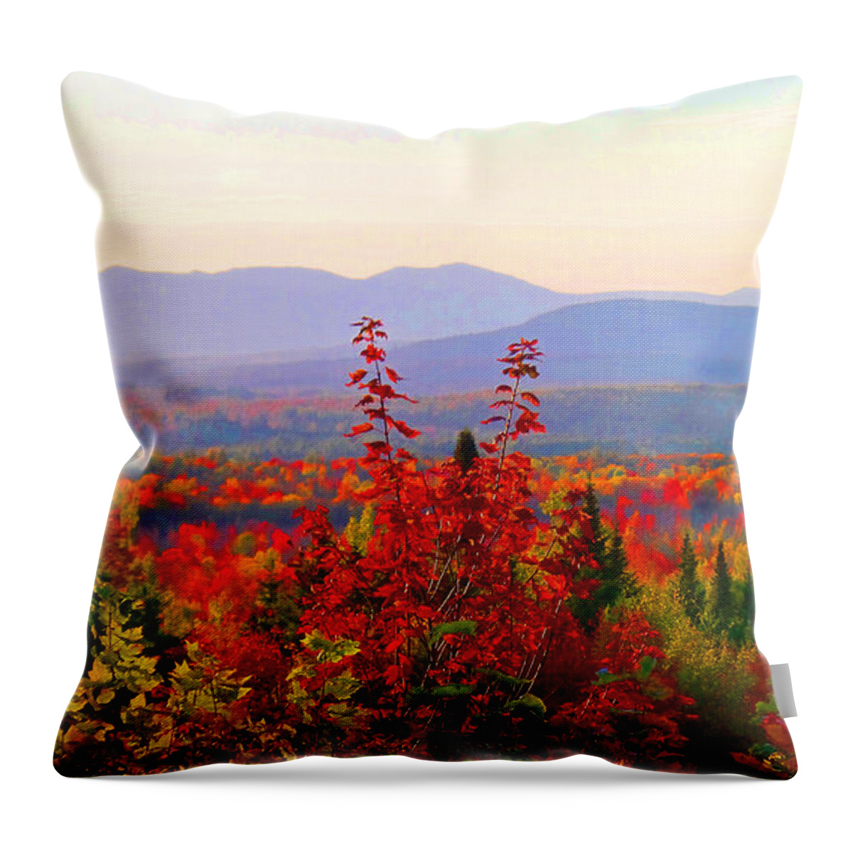 Autumn Throw Pillow featuring the photograph National Scenic Byway by Mike Breau