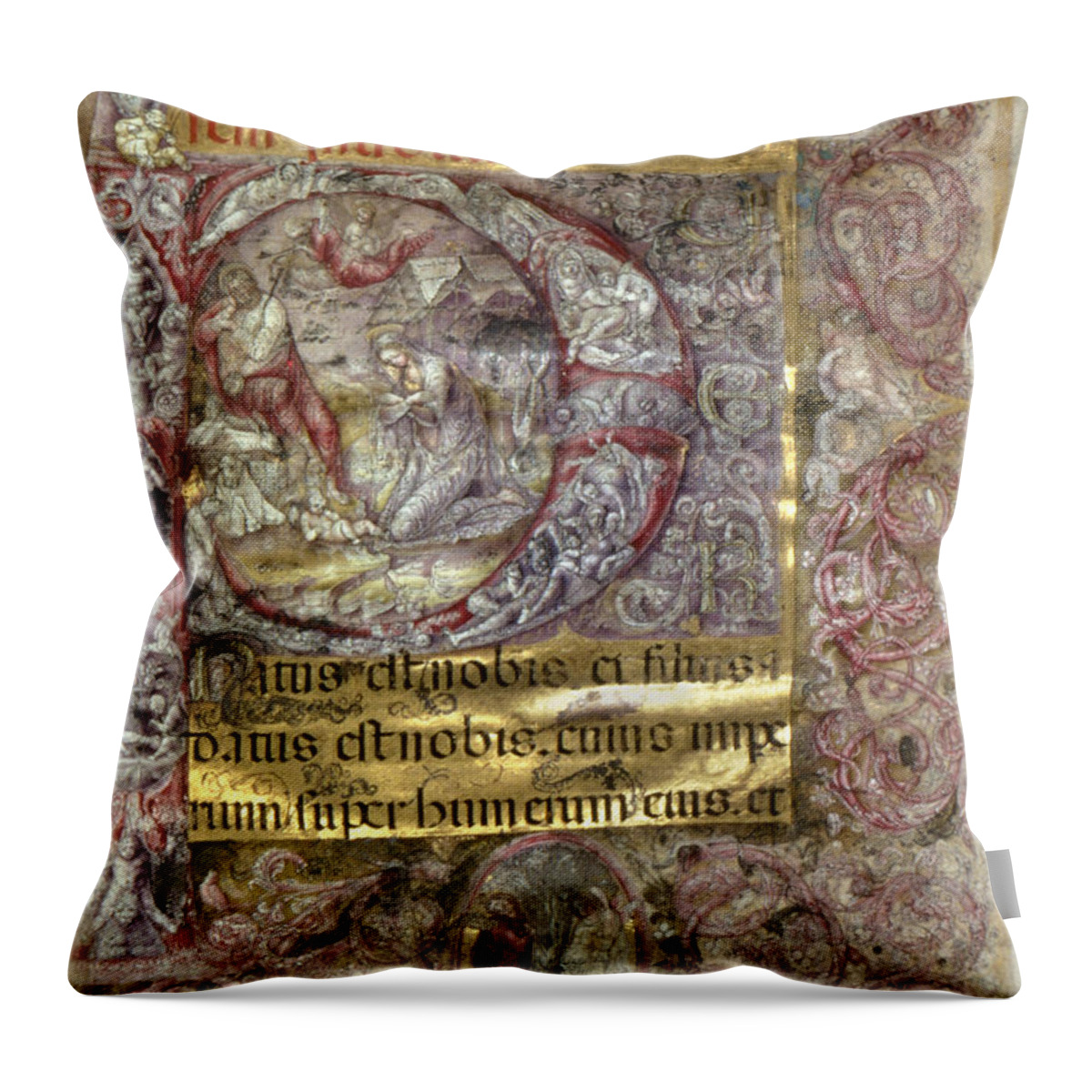 15th Century Throw Pillow featuring the photograph Nativity In An Initial P by Granger
