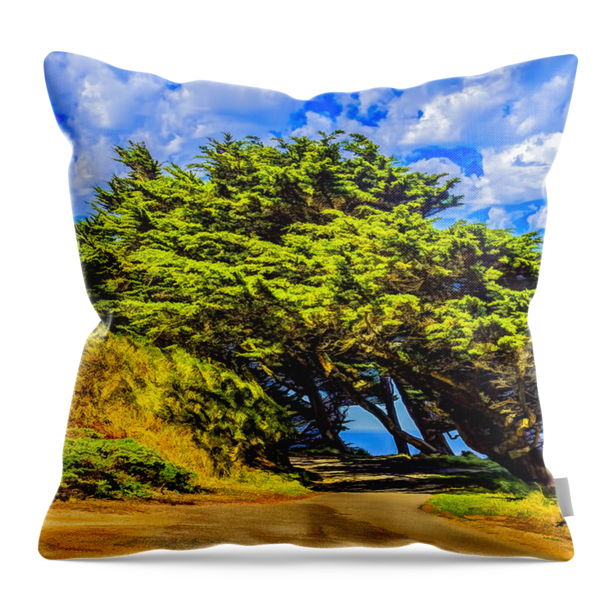 Otw Point Reyes Lancape Throw Pillow featuring the photograph Natural Arches by Bruce Bottomley