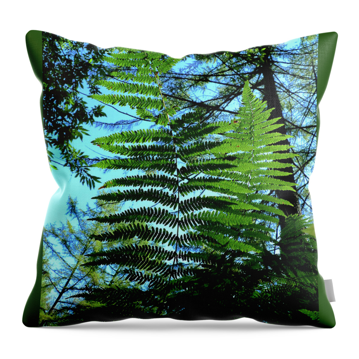 Nature Throw Pillow featuring the photograph Natural beauty by Xabi Lobo