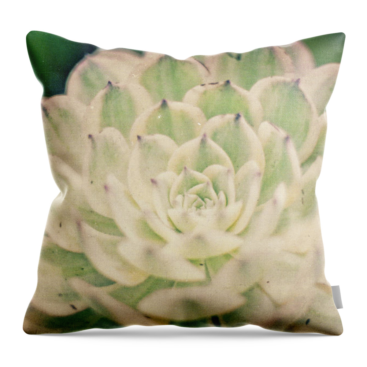 Garden Throw Pillow featuring the photograph Natural Geometry by Ana V Ramirez