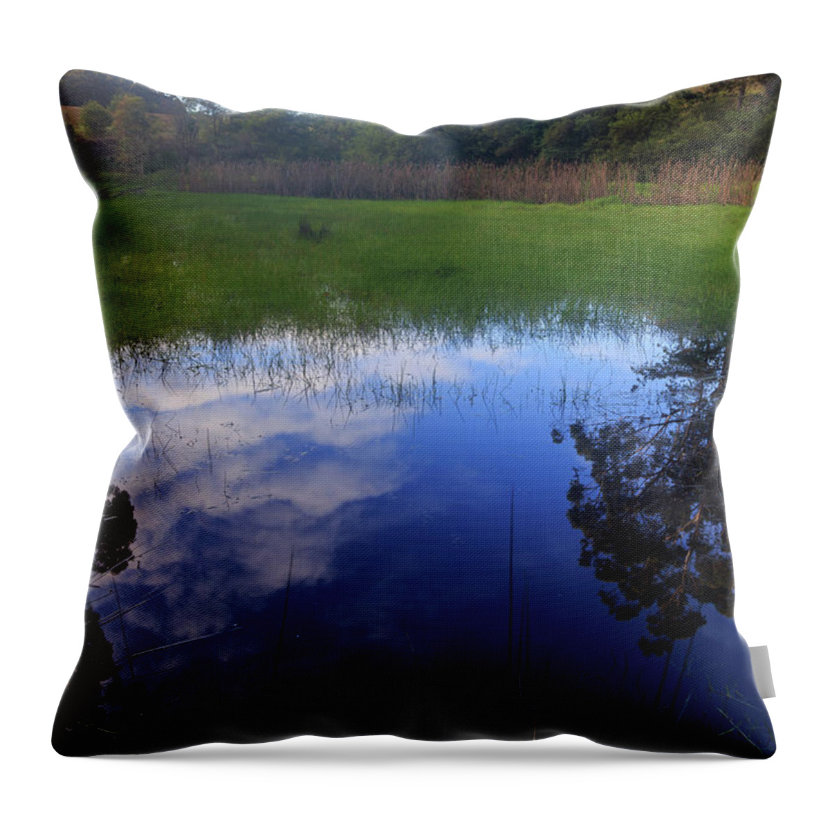 Landscape Throw Pillow featuring the photograph Natural Reflections by Robert Caddy