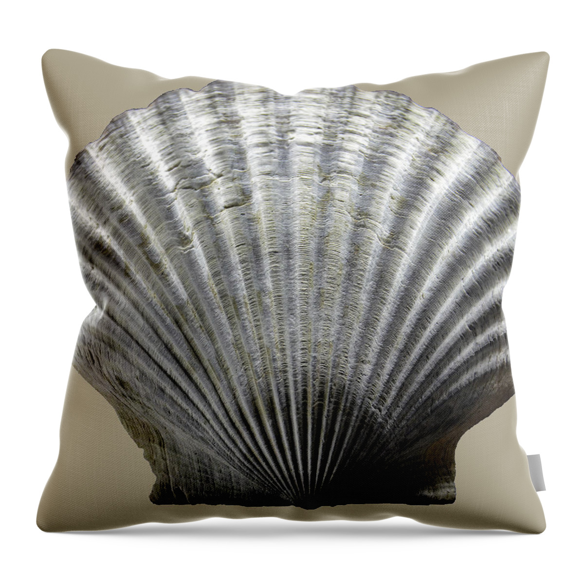 Sea Throw Pillow featuring the photograph Natural Shell by WAZgriffin Digital