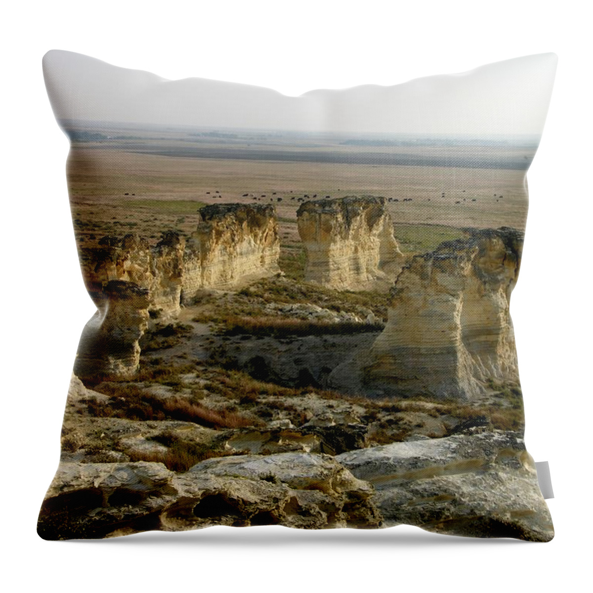 Kansas Throw Pillow featuring the photograph Natural Stonehenge by Keith Stokes