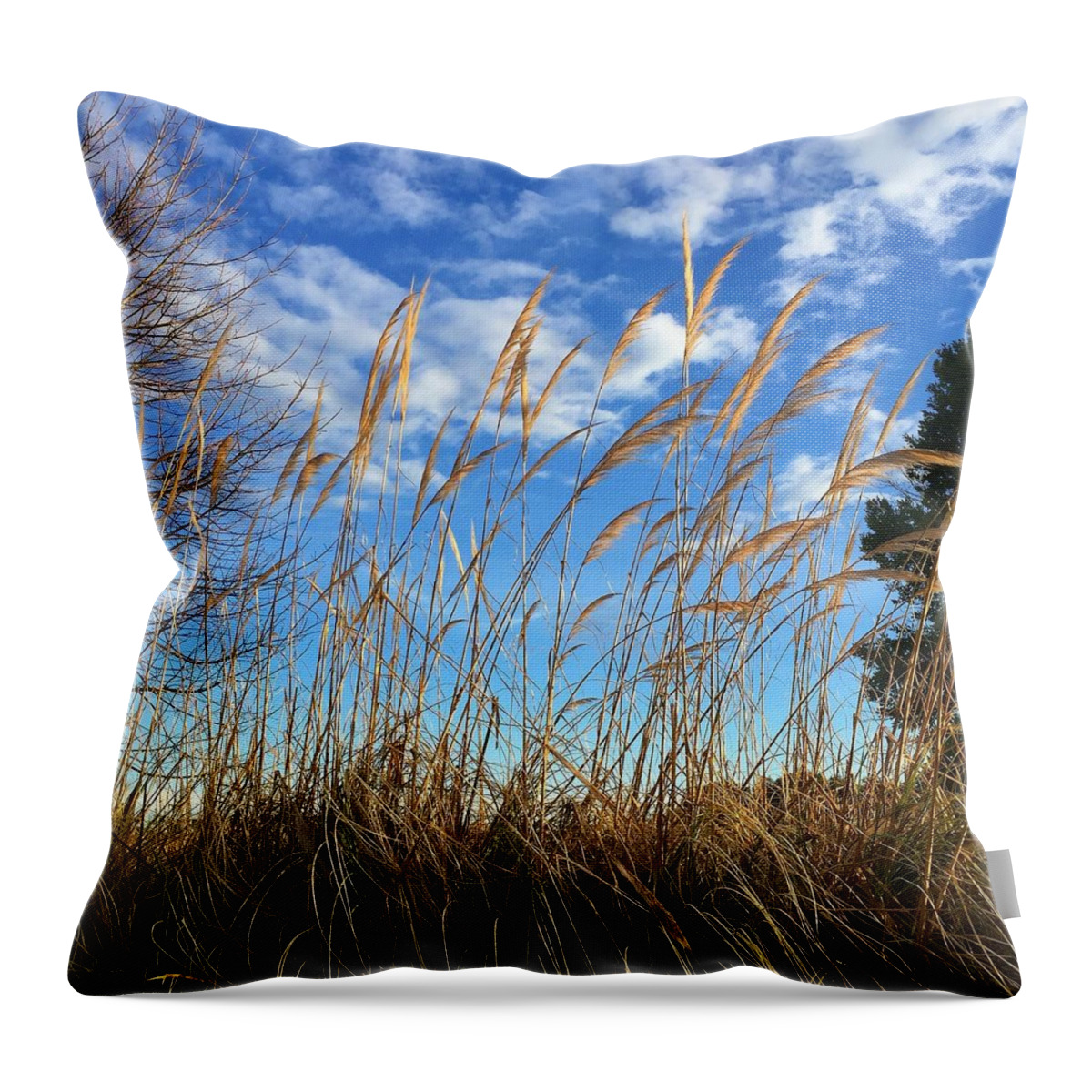 Sky Throw Pillow featuring the photograph Natural Wonders by Matthew Seufer