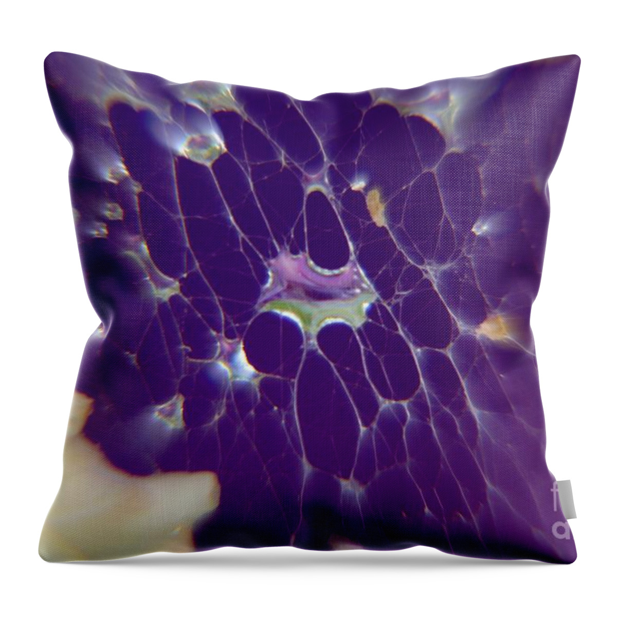 Purples Throw Pillow featuring the photograph Nature Abstract by Yumi Johnson