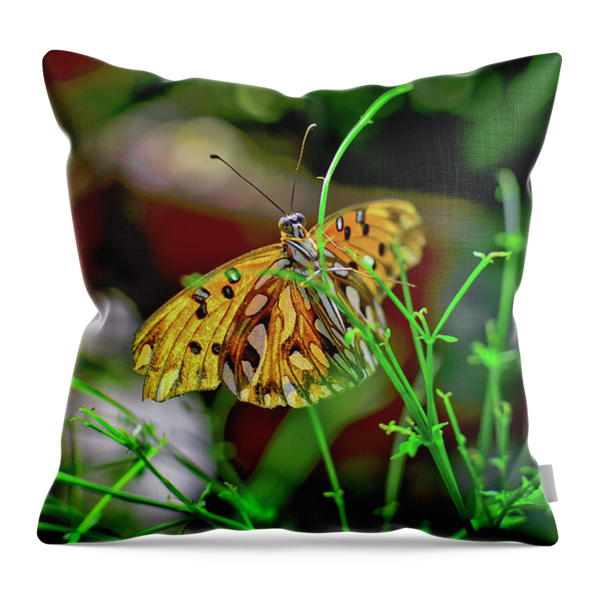 Abstract Throw Pillow featuring the photograph Nature - Butterfly and Plants by Carlos Alkmin