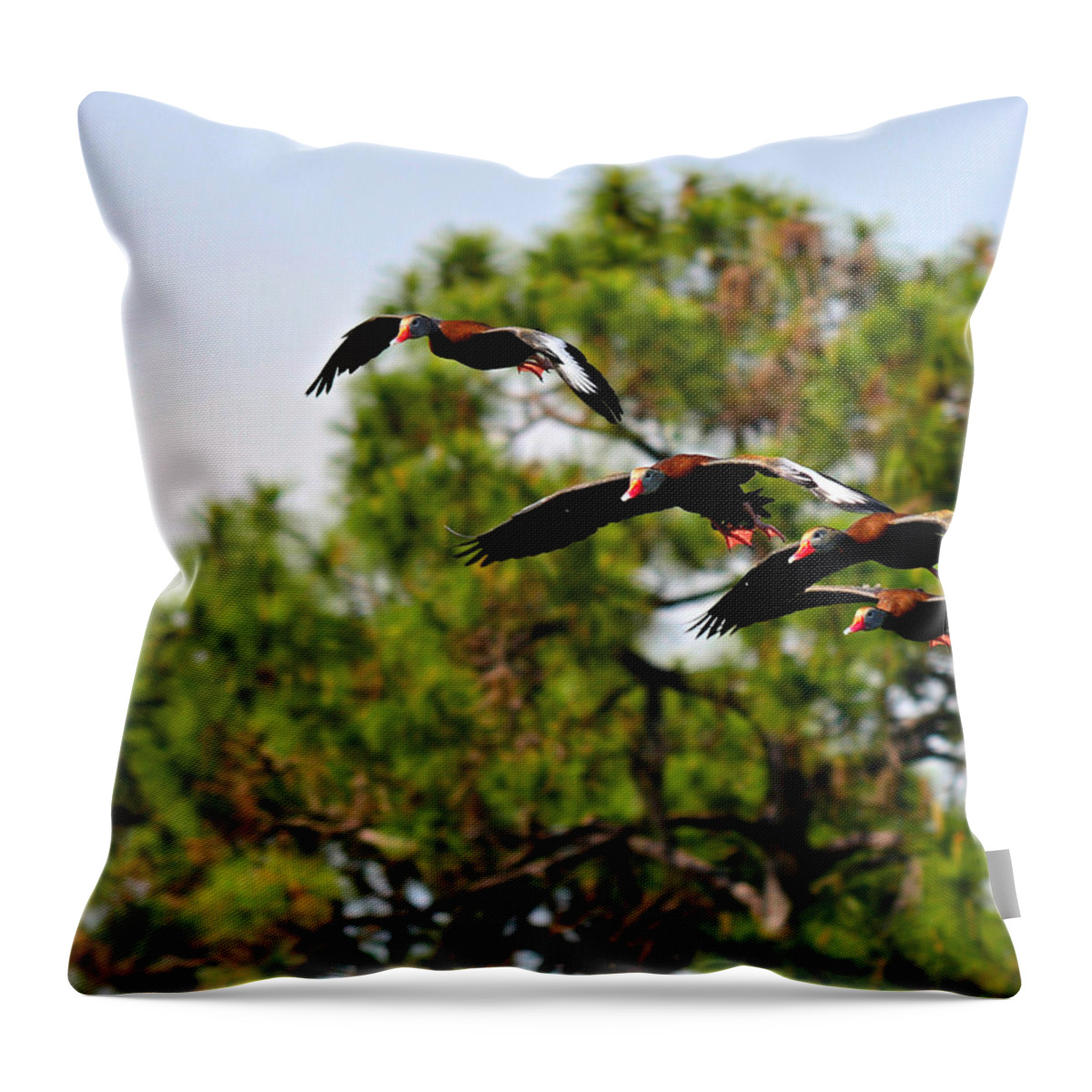 Geese Throw Pillow featuring the digital art Nature Calls by Alison Belsan Horton