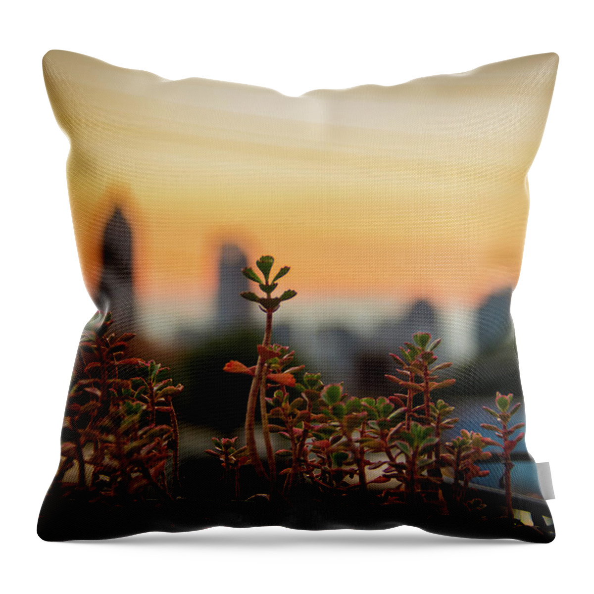 Nature Throw Pillow featuring the photograph Nature in the City by Kenny Thomas