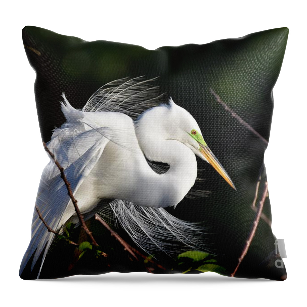 Great White Egret Throw Pillow featuring the photograph Nature Is Beautiful by Julie Adair