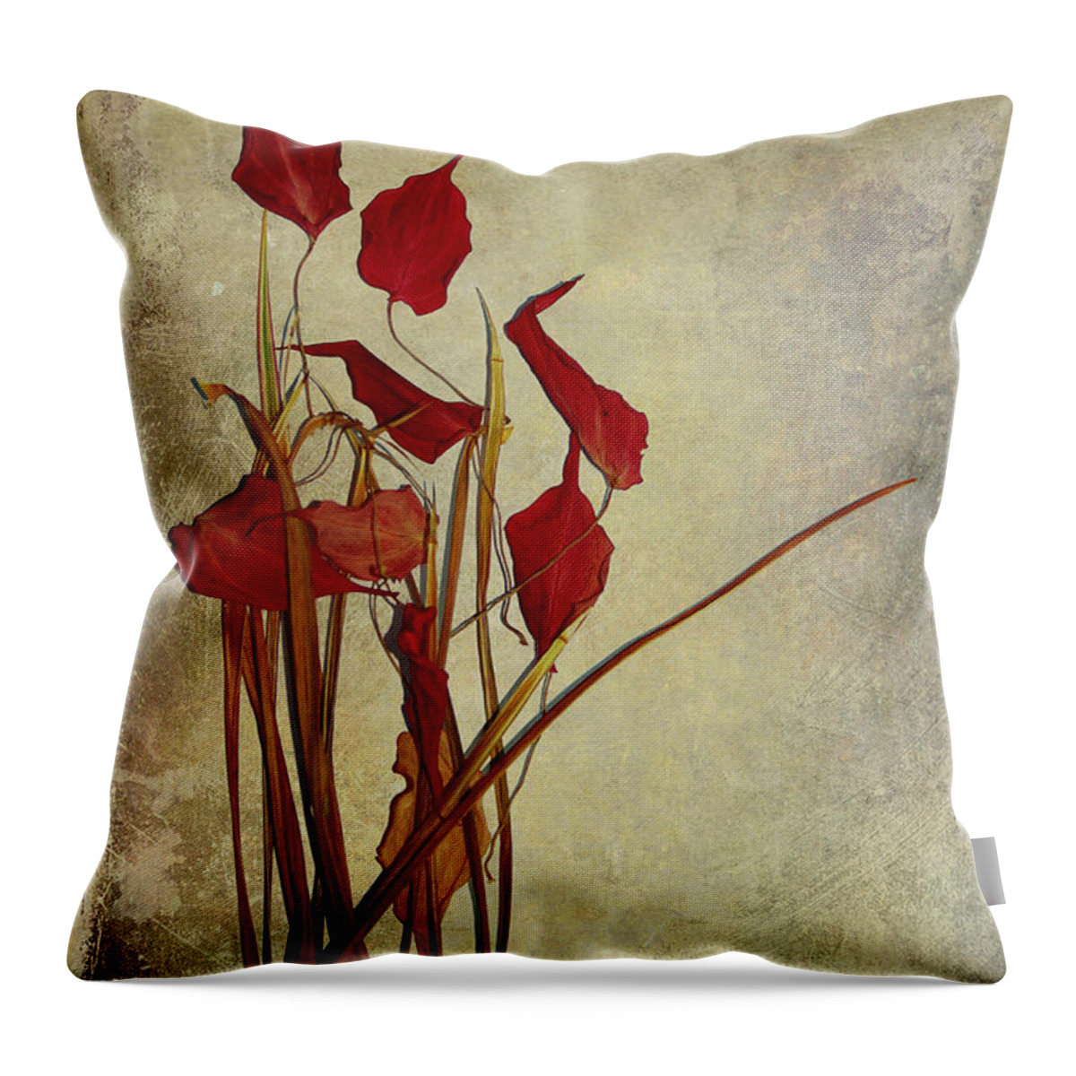 still Life�photography Throw Pillow featuring the photograph Nature Morte Du Moment by Aimelle Ml