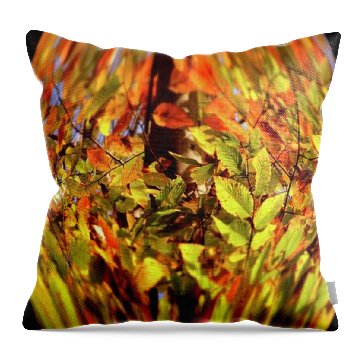Nature Throw Pillow featuring the photograph Nature Vase 2 by Angie Tirado