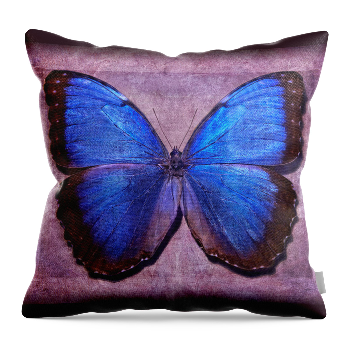 Butterfly Throw Pillow featuring the photograph Nature's Angels II by Leda Robertson