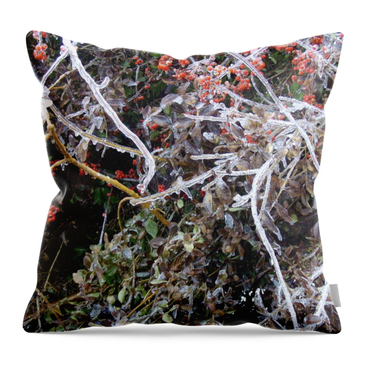 Natures Art Natural Ice Berries Vines Trees Sculpture Throw Pillow featuring the photograph Natures Art by Kristine Nora