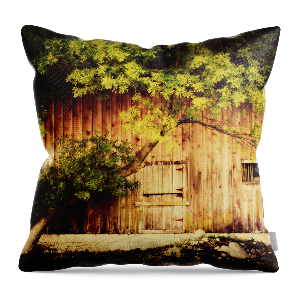 Barn Throw Pillow featuring the photograph Natures Awning by Julie Hamilton