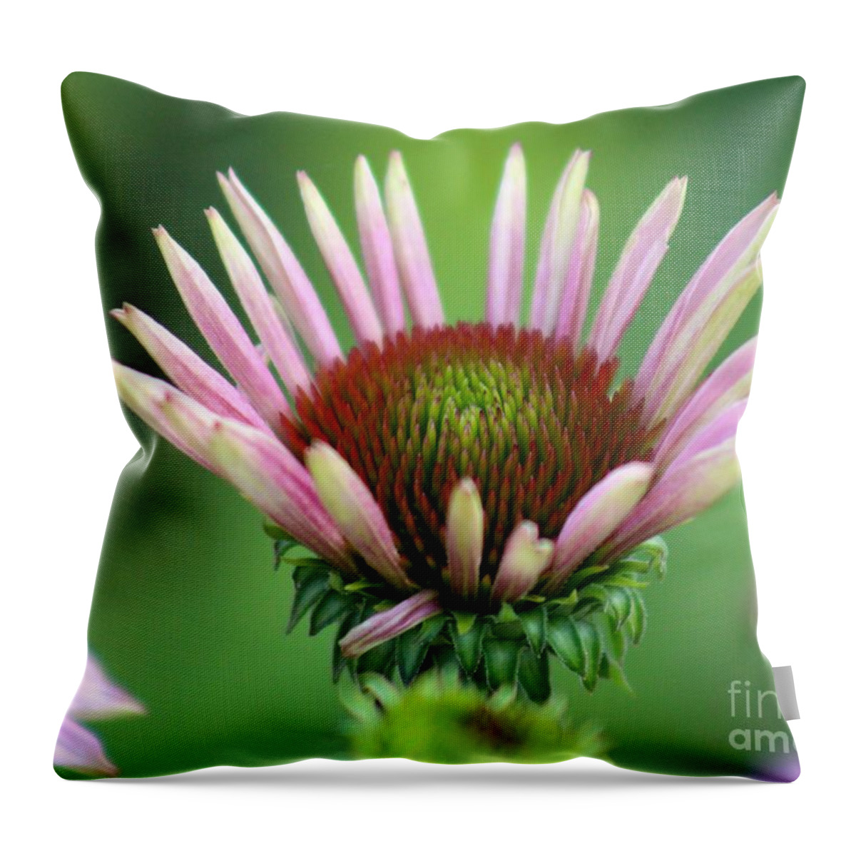 Pink Throw Pillow featuring the photograph Nature's Beauty 75 by Deena Withycombe