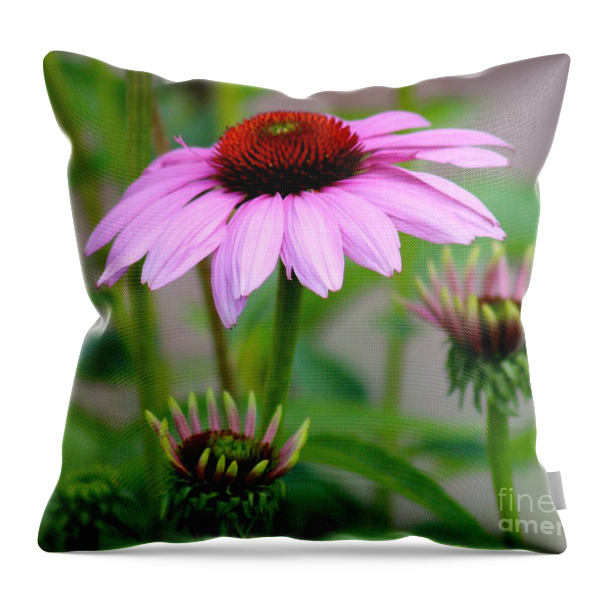 Pink Throw Pillow featuring the photograph Nature's Beauty 80 by Deena Withycombe
