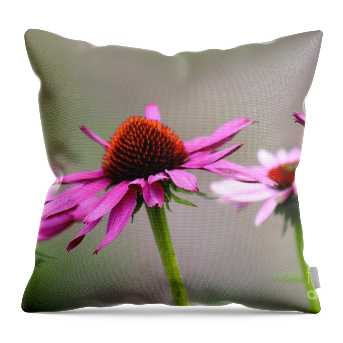 Pink Throw Pillow featuring the photograph Nature's Beauty 81 by Deena Withycombe
