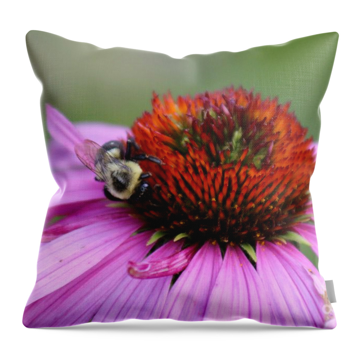 Pink Throw Pillow featuring the photograph Nature's Beauty 84 by Deena Withycombe