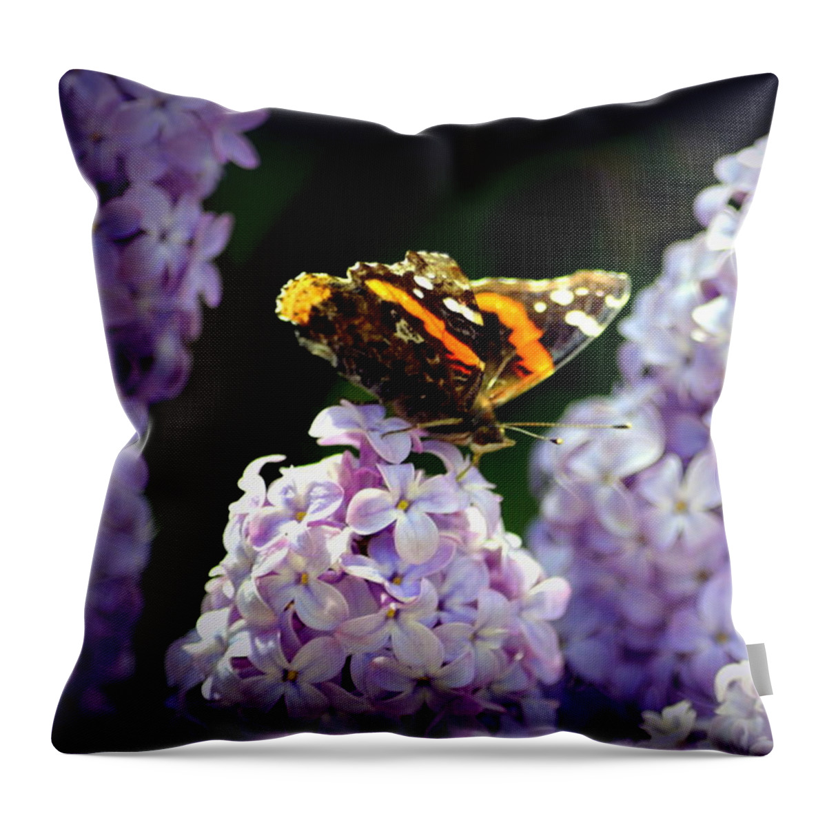 Butterfly Throw Pillow featuring the photograph Nature's Beauty by Clarice Lakota