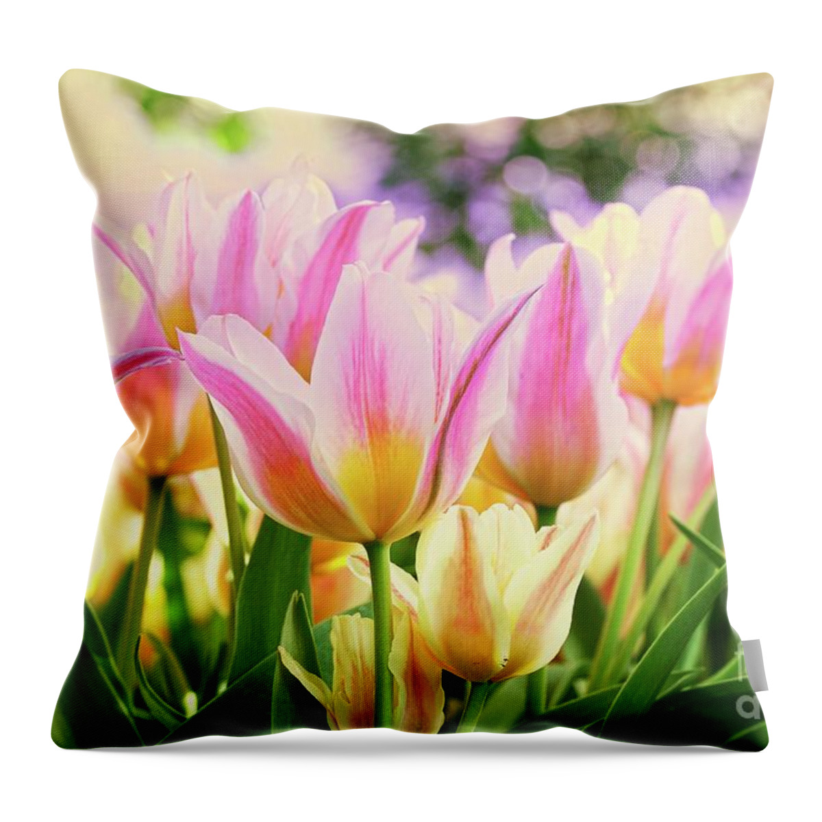 Flowers Throw Pillow featuring the photograph Spring Beauty by Elaine Manley