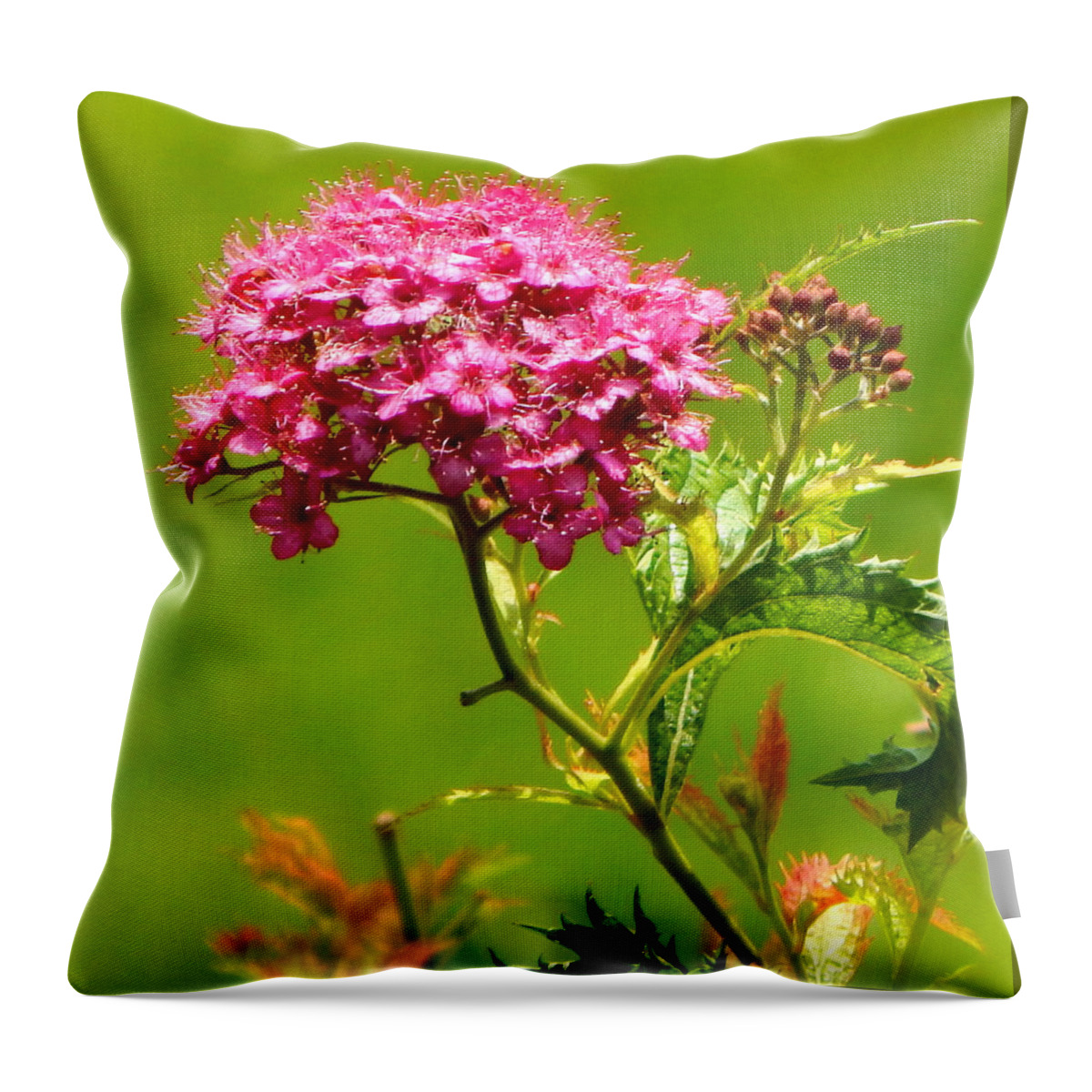 Pink Throw Pillow featuring the photograph Nature's bouquet by JoAnne Burgess