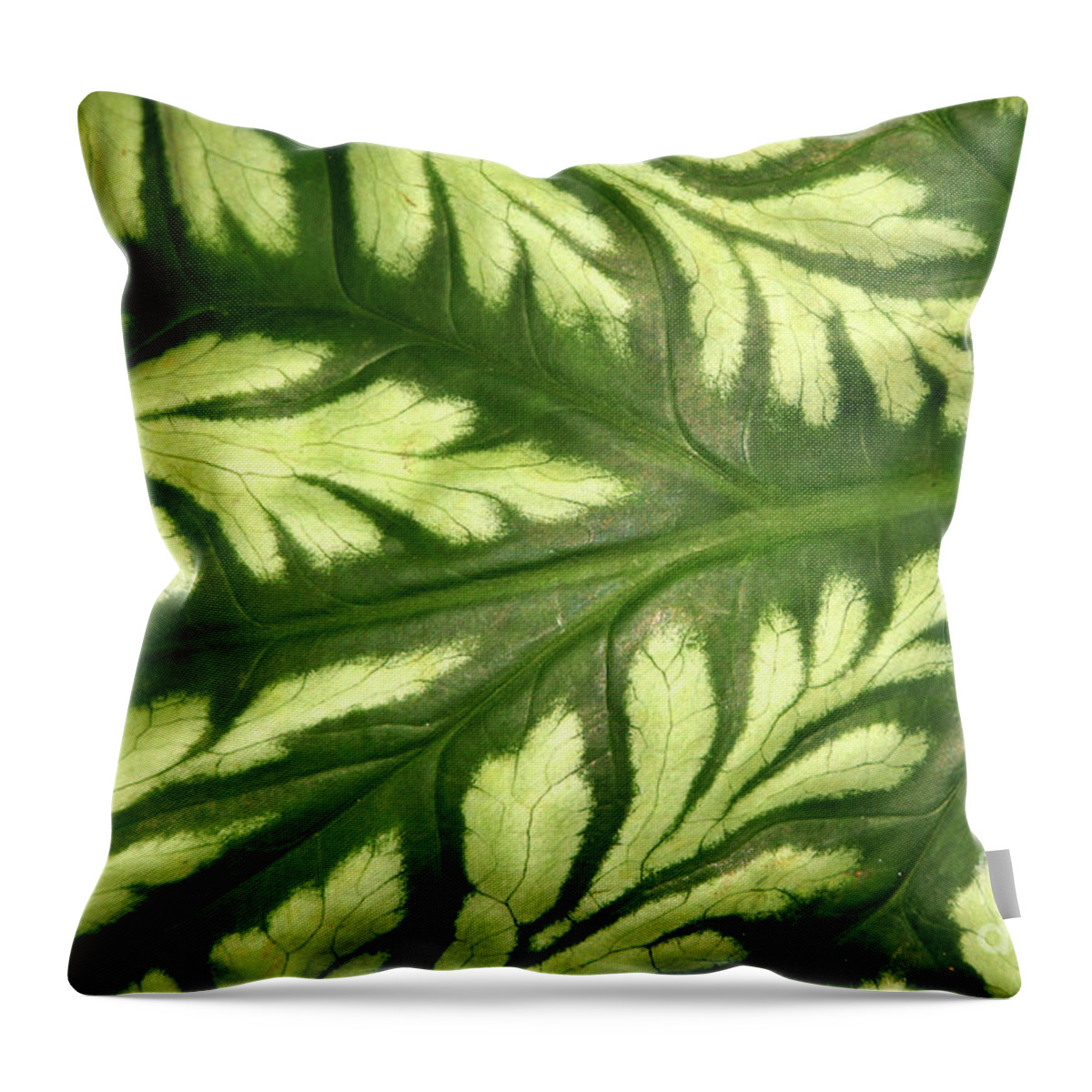 Leaf Throw Pillow featuring the photograph Nature's Design by Mariarosa Rockefeller