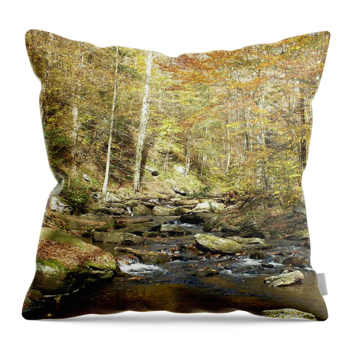 Ricketts Glen State Park Throw Pillow featuring the photograph Nature's Finest 5 - Ricketts Glen by Cindy Treger
