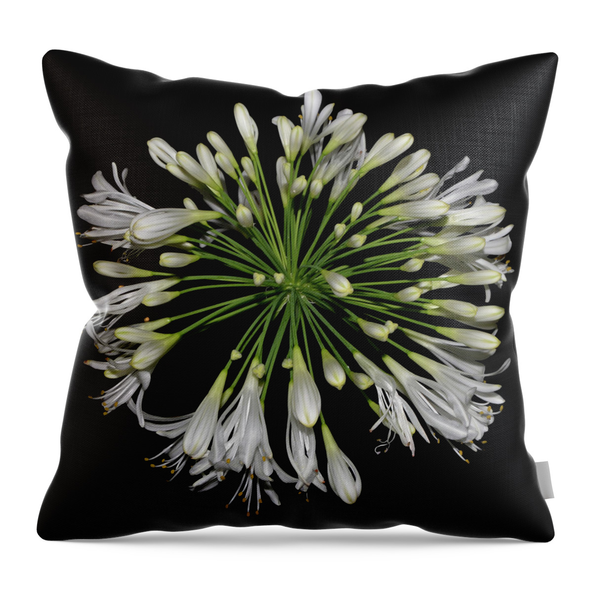 Nature Throw Pillow featuring the photograph Natures Fireworks - Lily Of The Nile 005 by George Bostian
