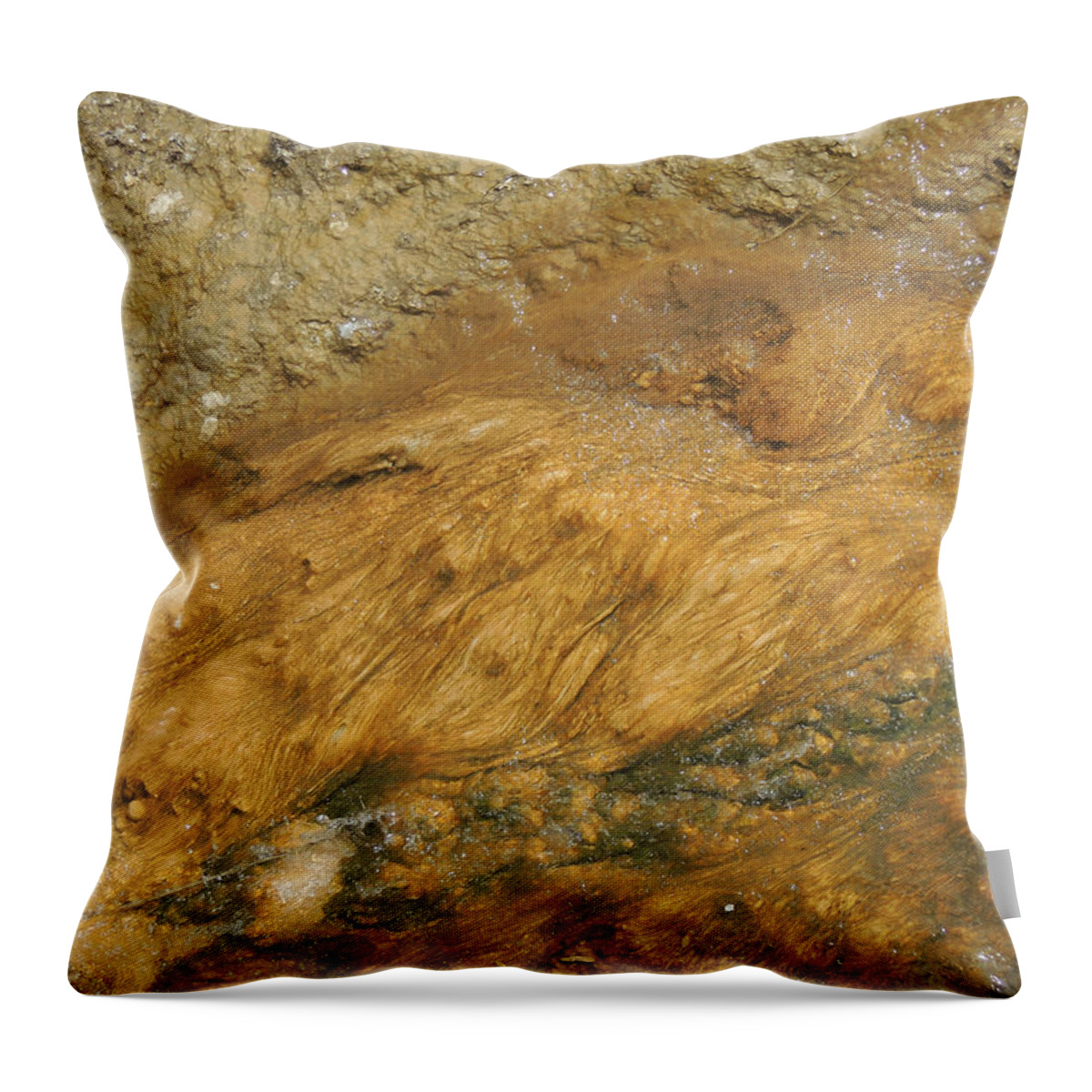 Abstract Throw Pillow featuring the photograph Nature's Flow by Jayne Wilson