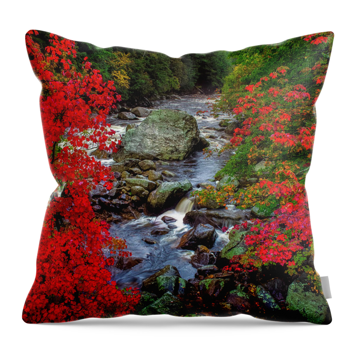 Red Throw Pillow featuring the photograph Natures Frame by Mark Papke