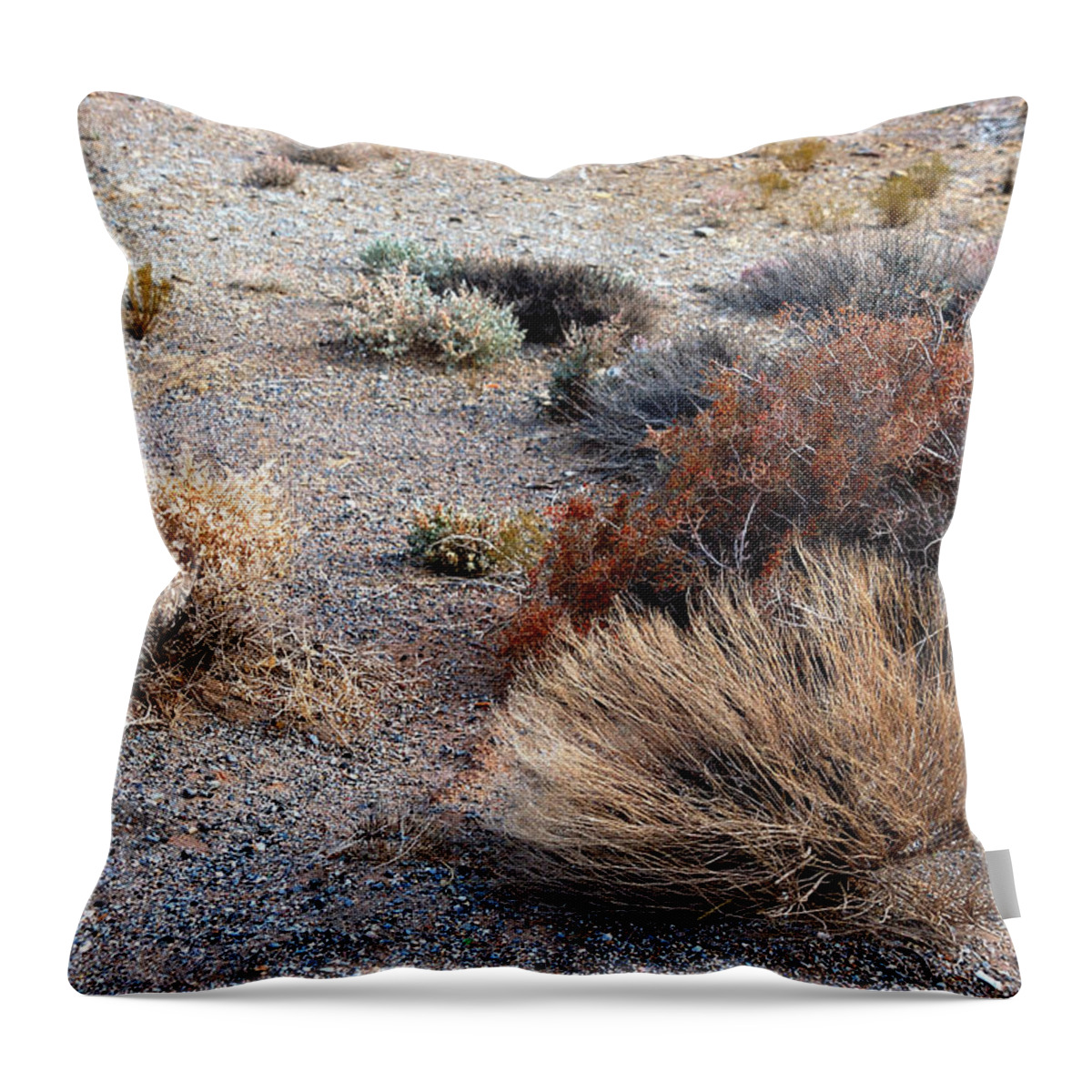 Sage Brush Throw Pillow featuring the photograph Natures Garden - Utah by DArcy Evans
