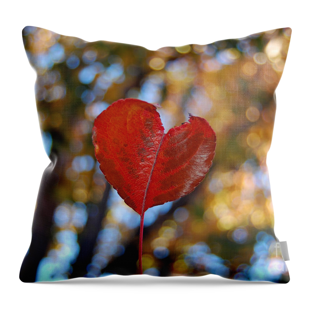 Heart Throw Pillow featuring the photograph Nature's Love by Debra Thompson