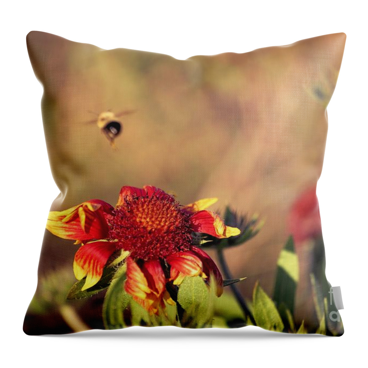 Nature Throw Pillow featuring the photograph Nature's October Fest 03 by Aimelle Ml