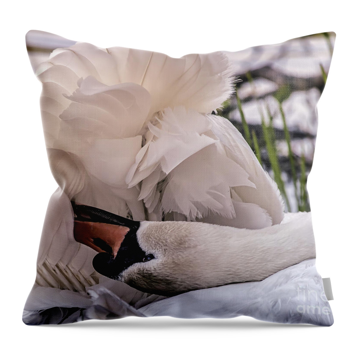 Swan Preening Throw Pillow featuring the photograph Natures Parasol by Mary Lou Chmura