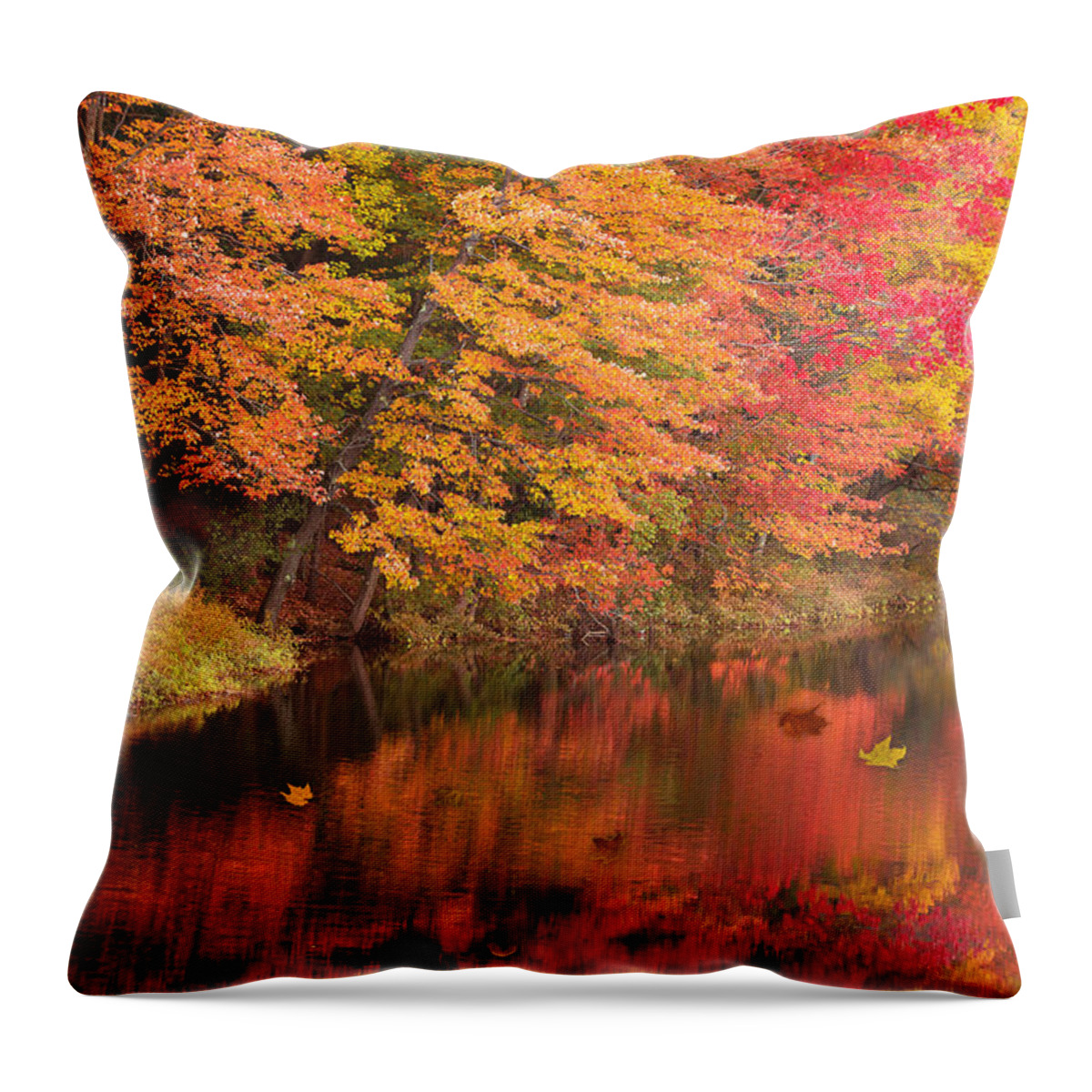 2015 Throw Pillow featuring the photograph Natures Peace by Brenda Giasson