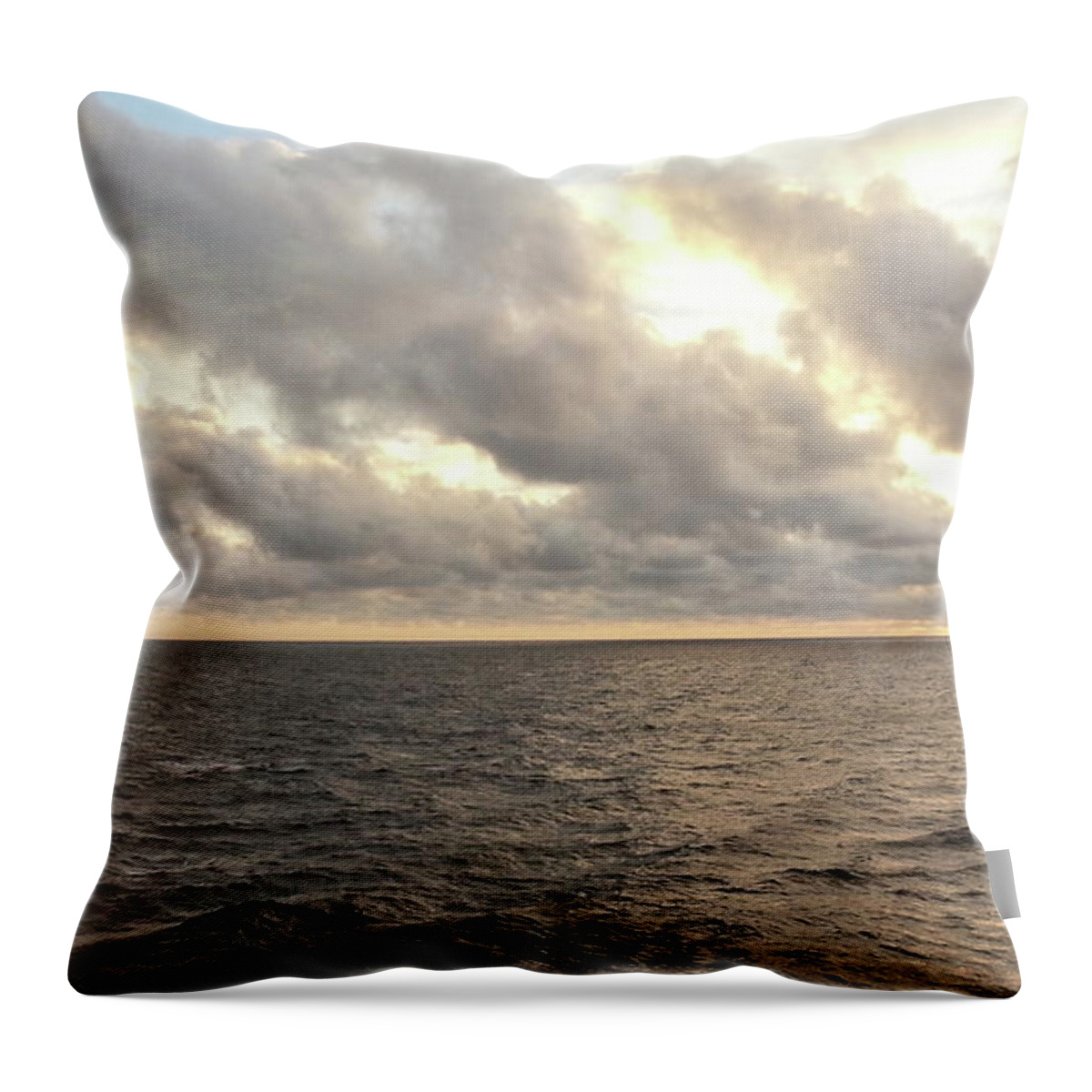 Cruise Throw Pillow featuring the photograph Nature's Realm by Robert Knight