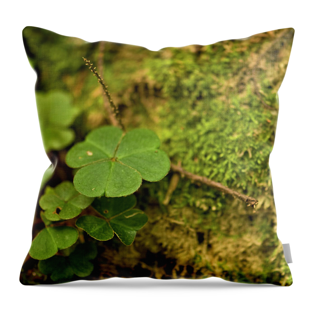 Clover Throw Pillow featuring the photograph Natures Tiny Work by Paul Mangold