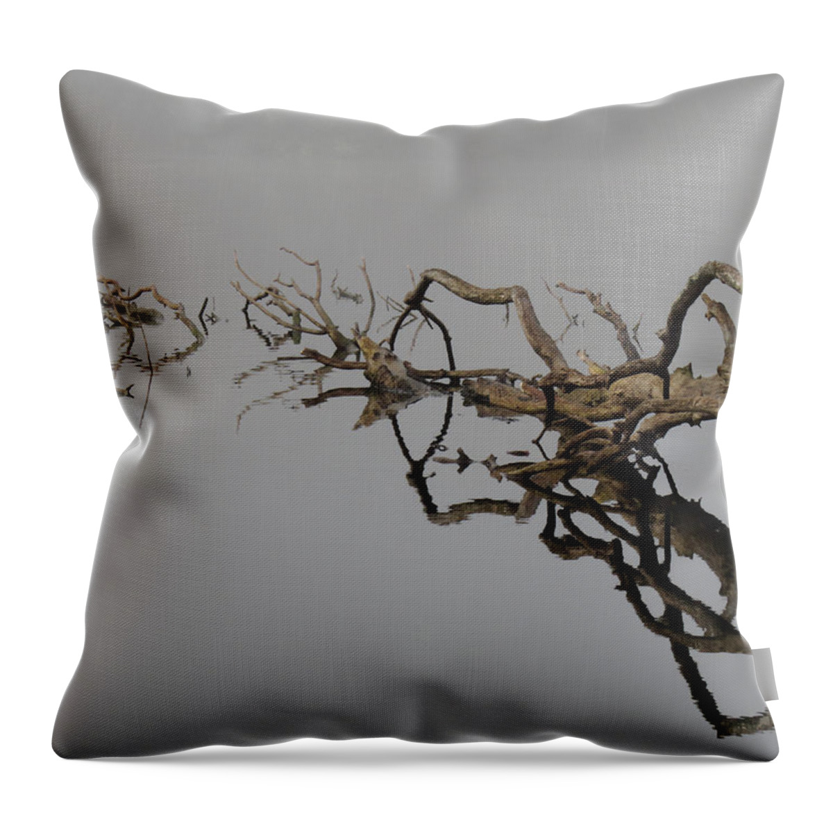 Driftwood Pond Reflections Throw Pillow featuring the digital art Nature's Work In Progress by I'ina Van Lawick