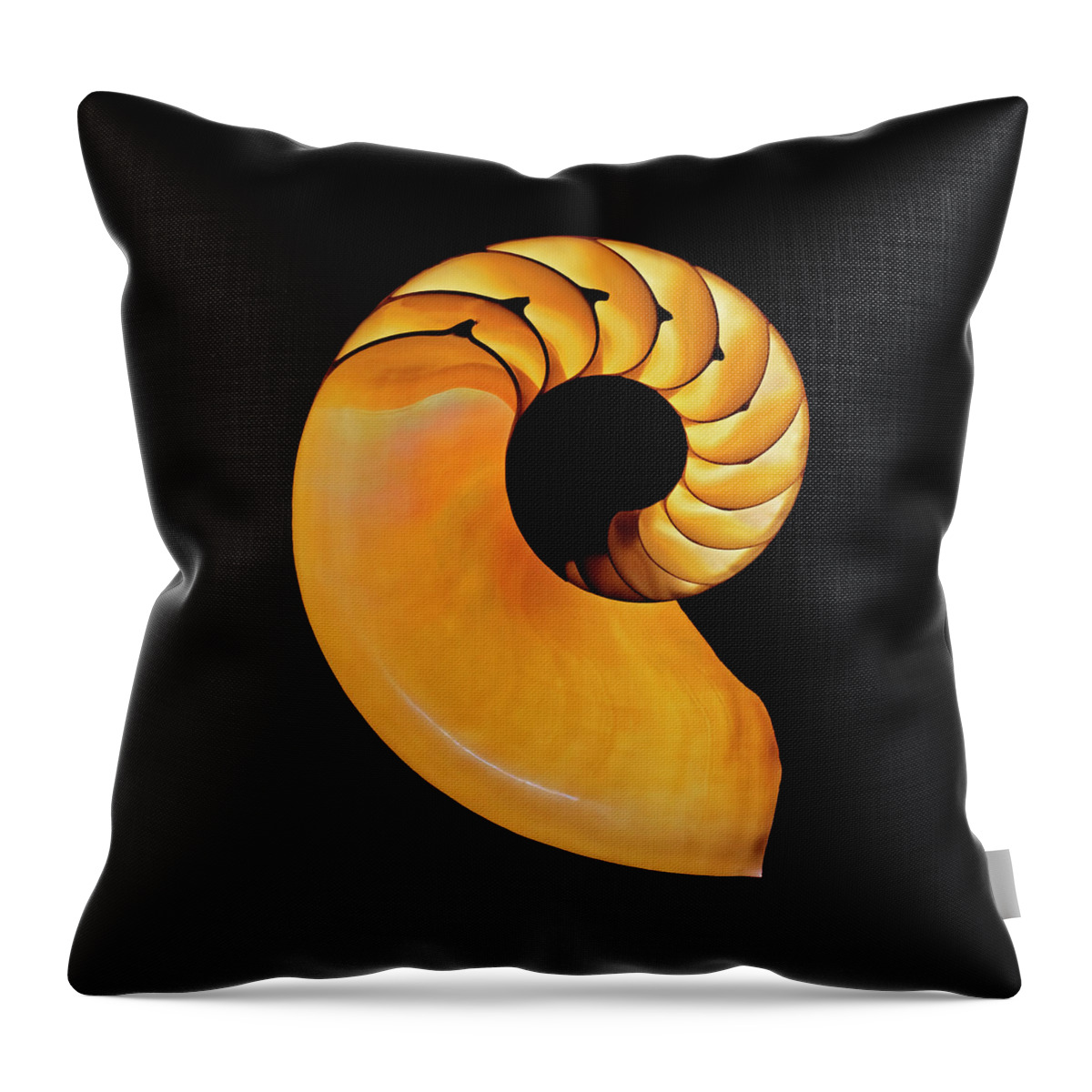 Nautilus Throw Pillow featuring the photograph Nautilus by Wes and Dotty Weber