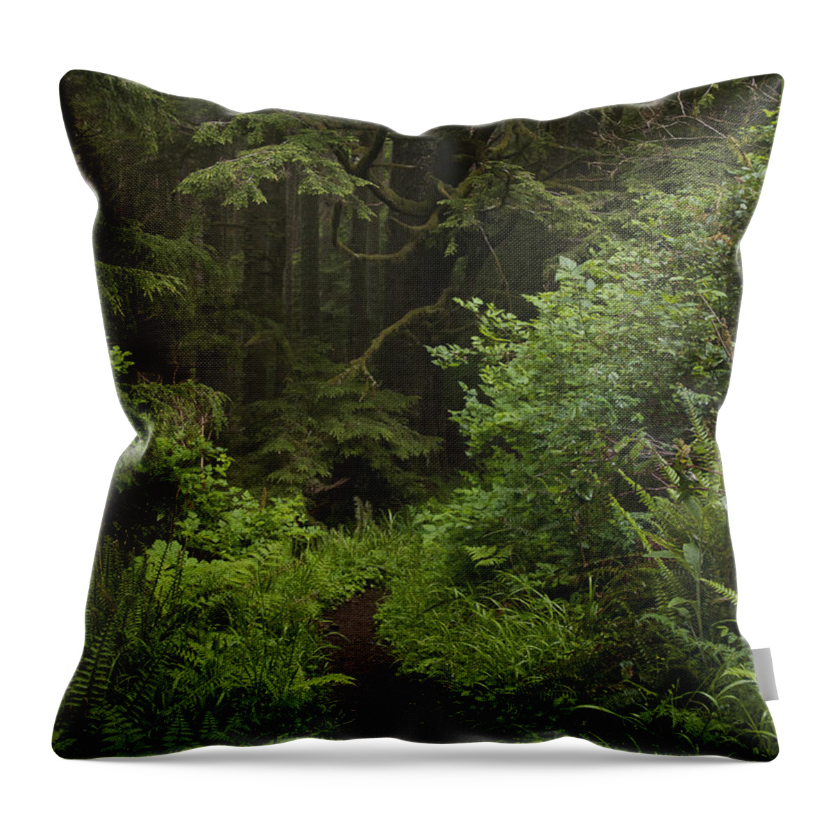 Coast Throw Pillow featuring the photograph Neahkahnie Mountain Trail by Robert Potts