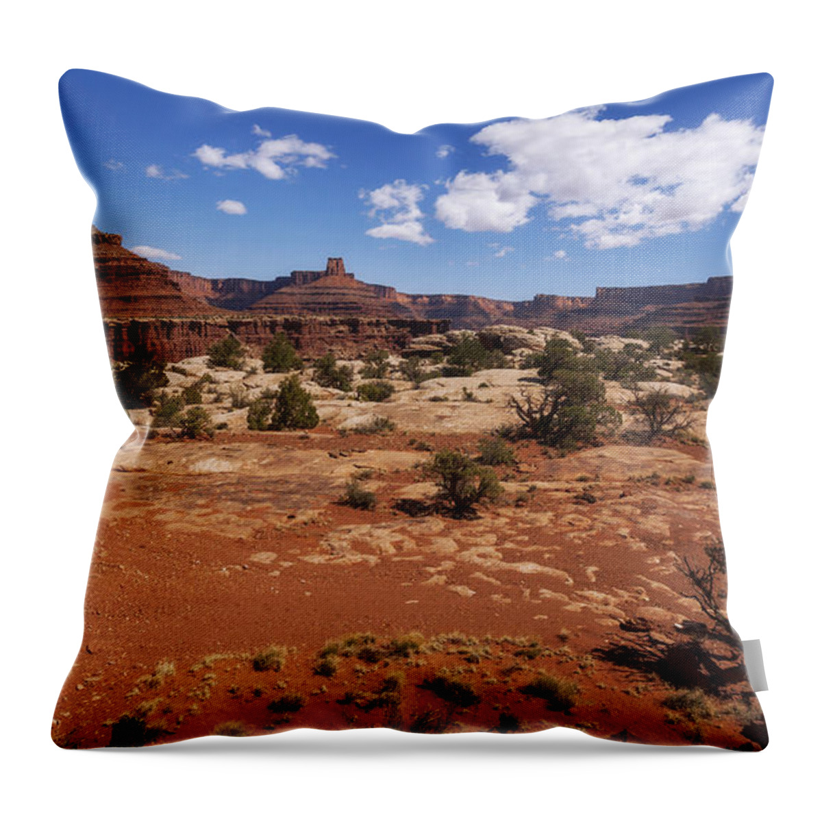 Outdoor Throw Pillow featuring the photograph Near Goose Neck by Chad Dutson