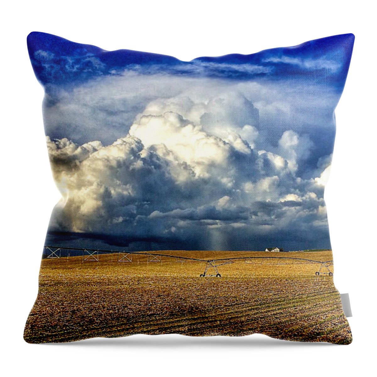 Photo Throw Pillow featuring the photograph Nebraska Thunderhead by Dan Miller
