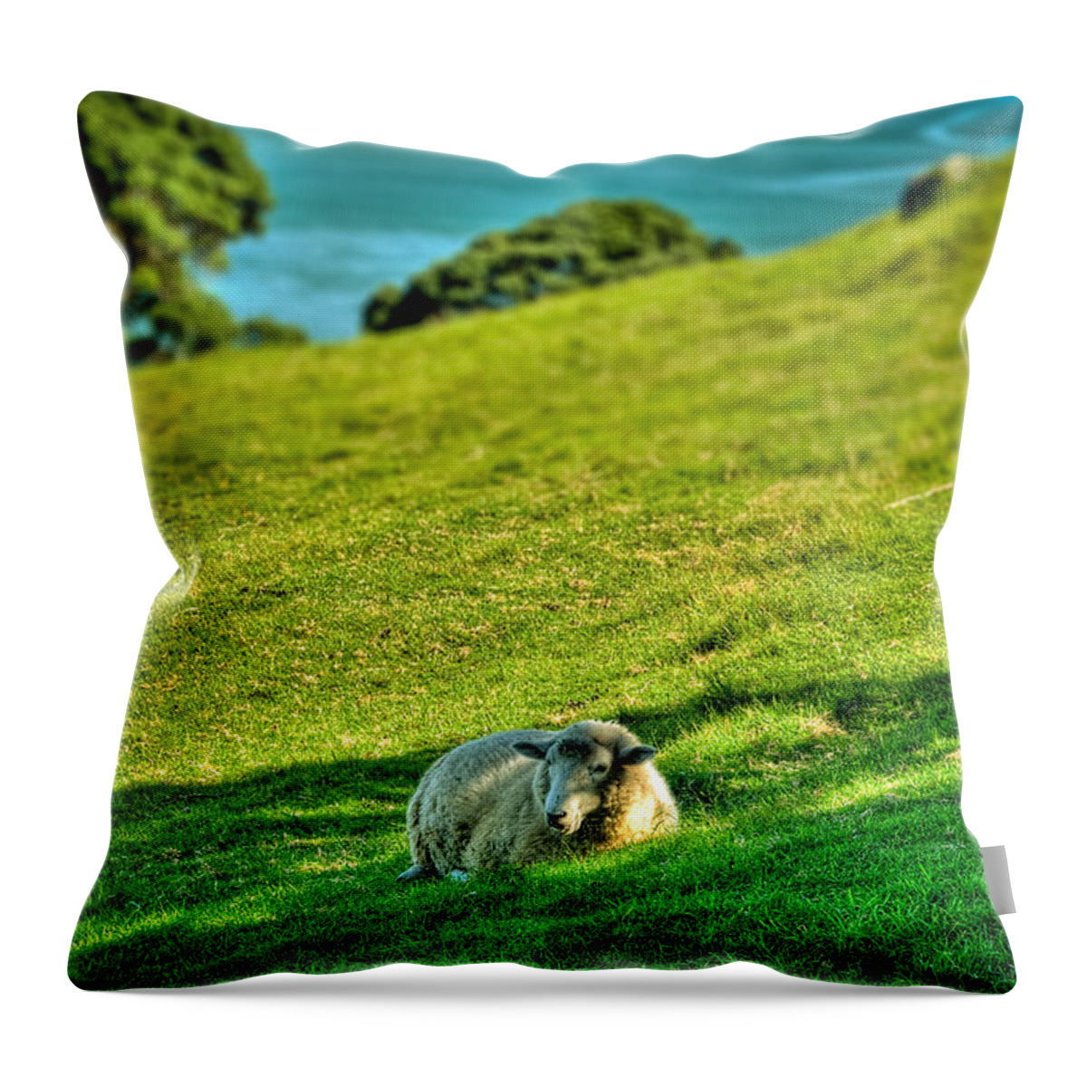 Sheep Throw Pillow featuring the photograph Need a break... by Les Lorek