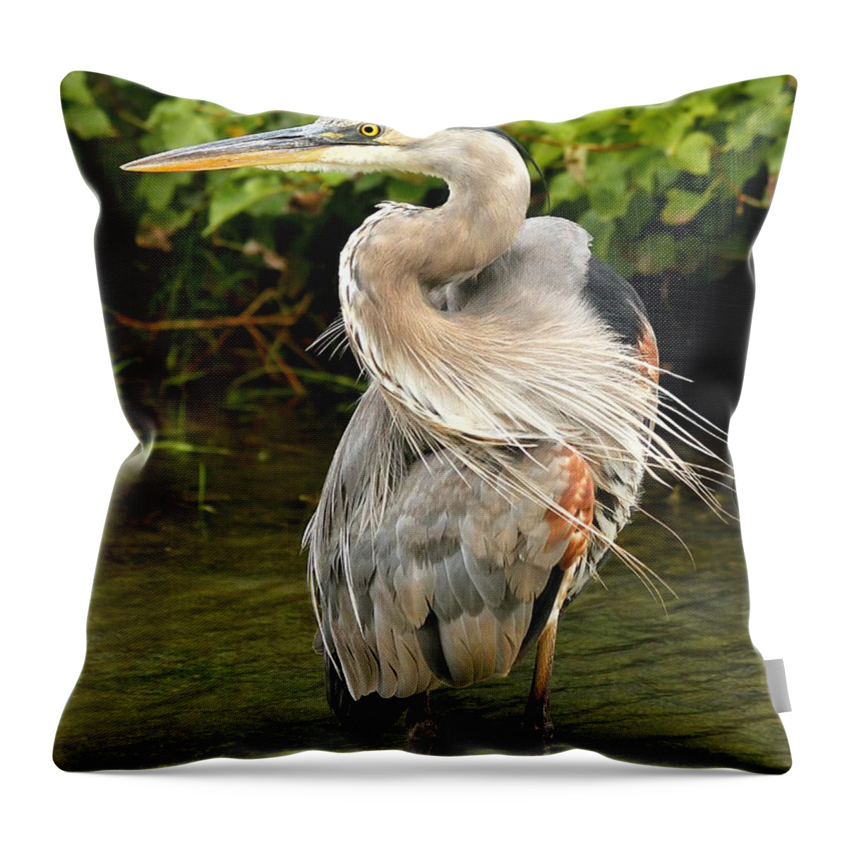 Bird Throw Pillow featuring the photograph Thought you had my back by Heather King